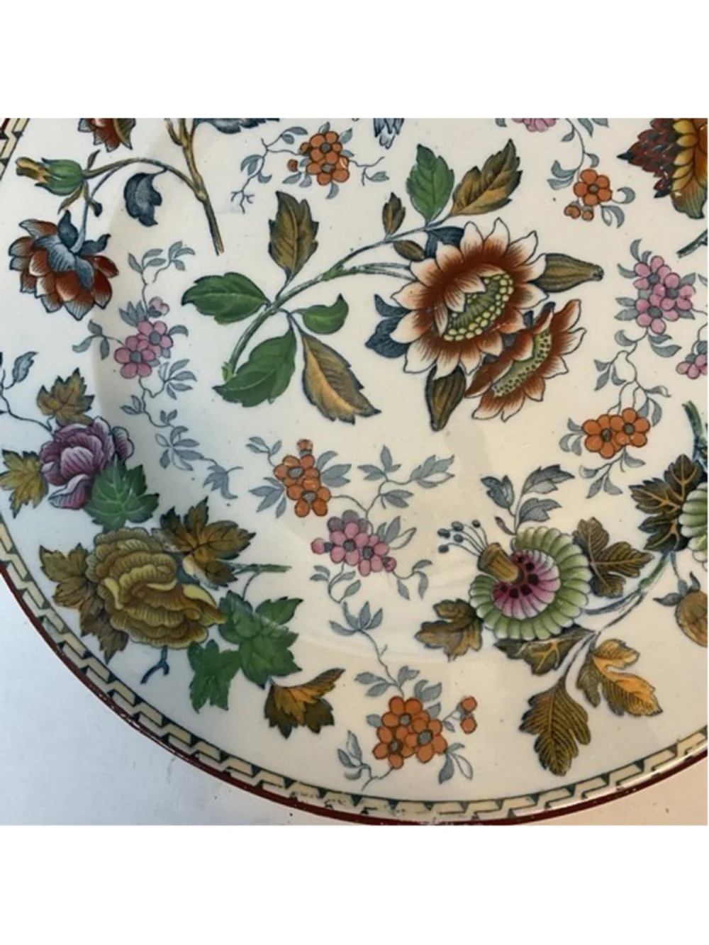 Vintage Wedgwood Tonquin Round Polychrome Floral Rare Early Antique Plate 10" - Picture 10 of 13